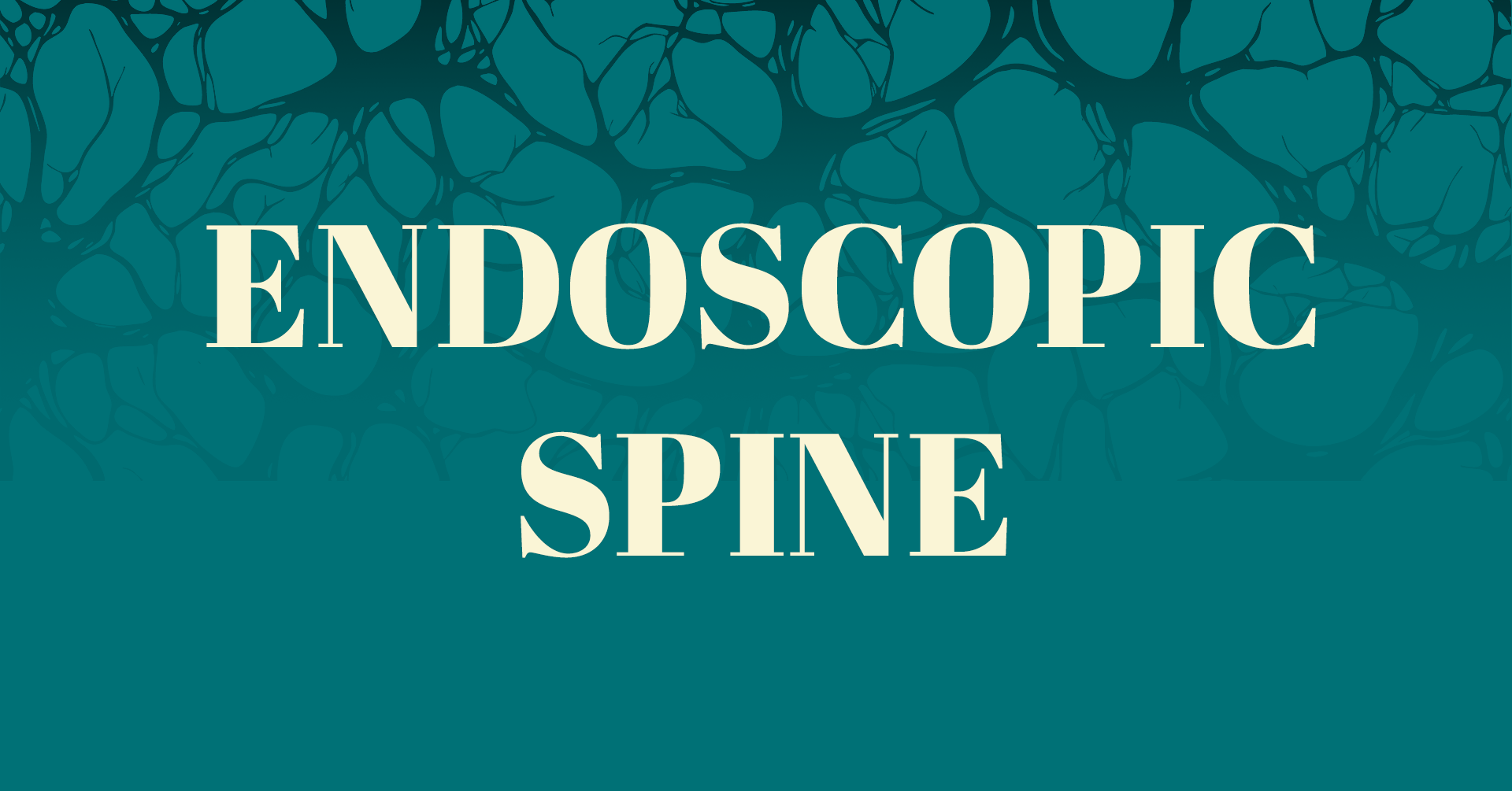 Endoscopic Spine Workshop